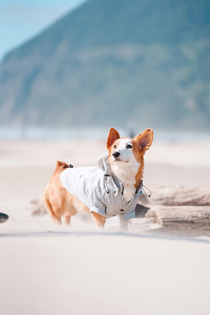 Zip up Dog Raincoats with Reflective Buttons, Pockets, Rain/Water Resistant, Adjustable Drawstring, & Removable Hood - XXS to XXL - Stylish Premium Dog Raincoats (Light Grey, Medium)