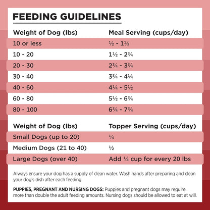 Liberty Freeze-Dried Dog Food Topper & Treats, Beef – 98% Meat & Organs, No Refrigeration – USA Made, 12 Oz